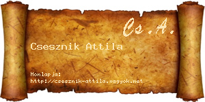 Csesznik Attila névjegykártya